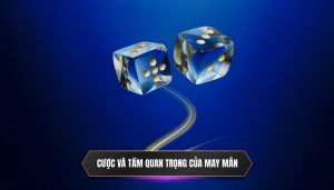 Cược và tầm quan trọng của may mắn